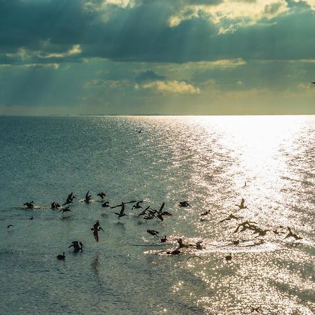 Pelican Beach Resort, Dangriga Dış mekan fotoğraf