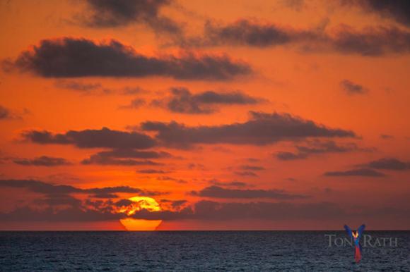 Pelican Beach Resort, Dangriga Dış mekan fotoğraf