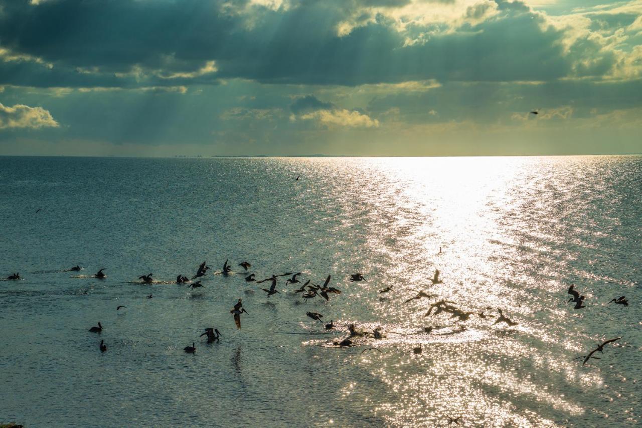 Pelican Beach Resort, Dangriga Dış mekan fotoğraf